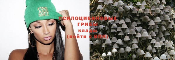 кокс Арсеньев
